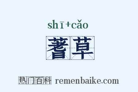 蓍草是什么意思的图片